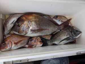 s-PXL_20251108_061719147