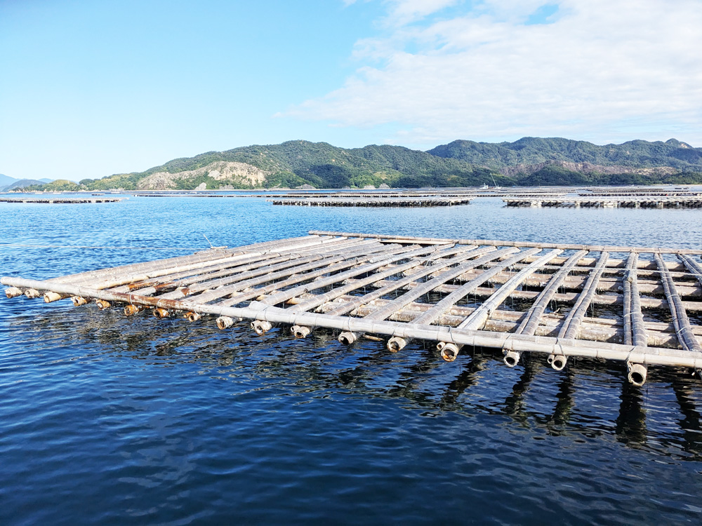 さくら渡船　船長　水口　宏