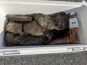 11日~13日釣果報告!!