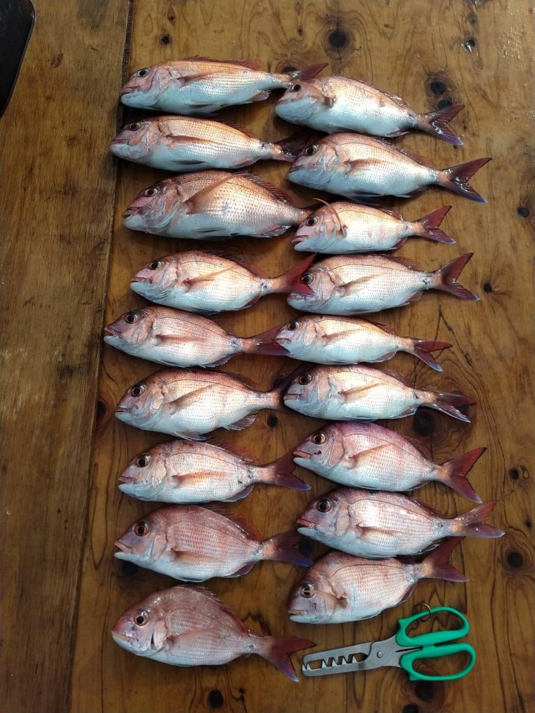 釣果報告!!22日~24日!!