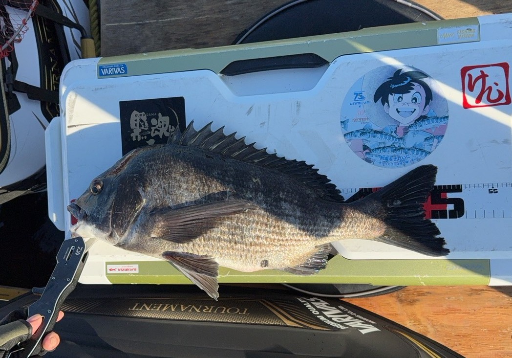 釣果報告！！チヌ年無し！！