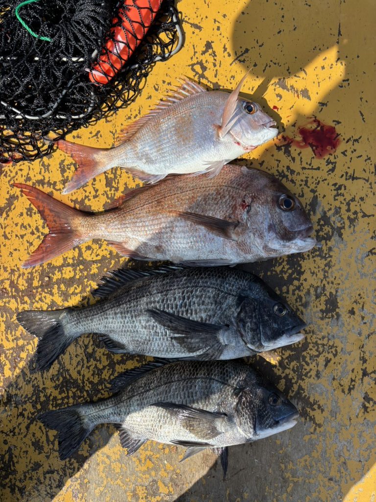 3月７日８日釣果報告！！