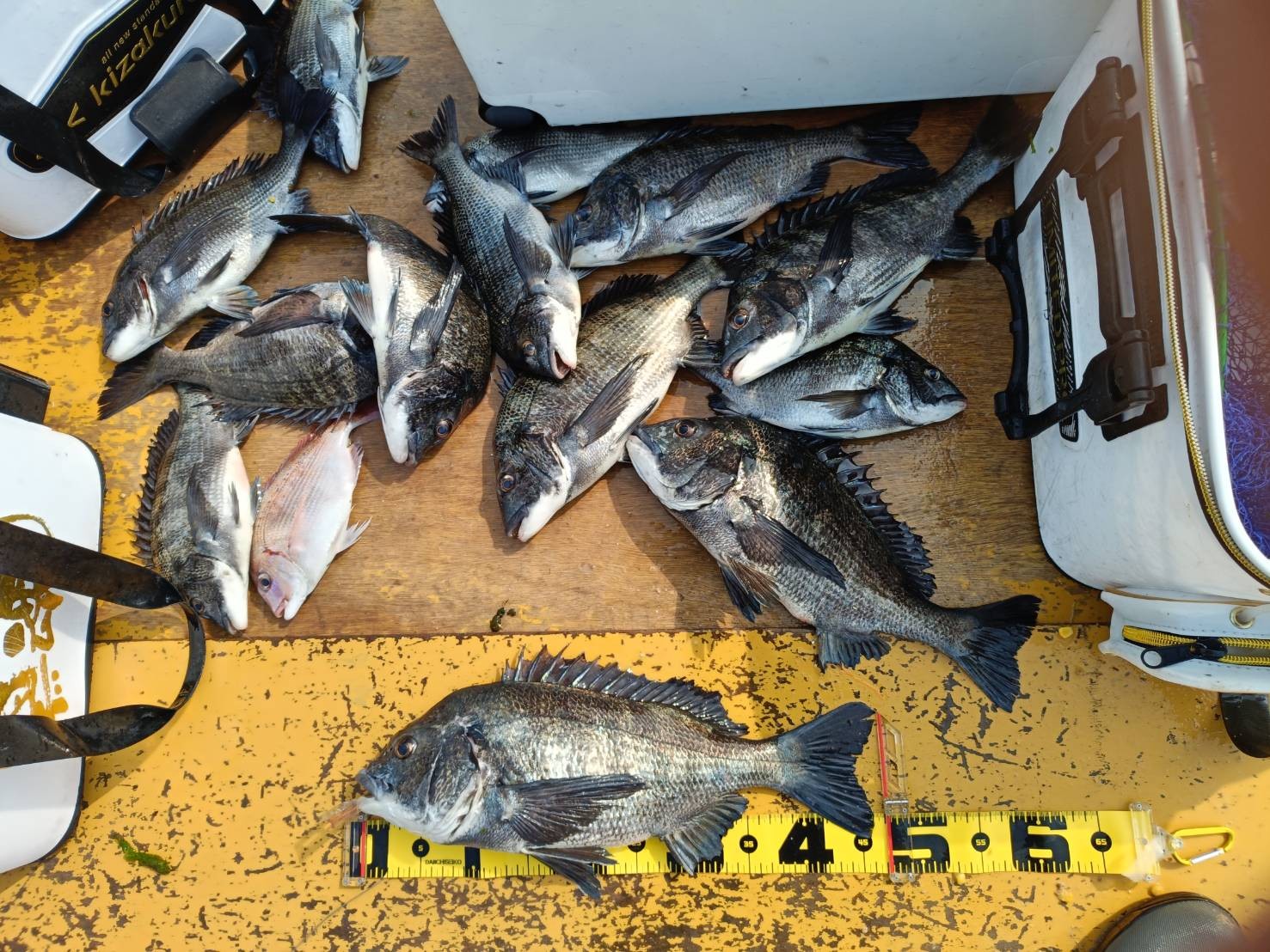 29日、30日釣果報告！！