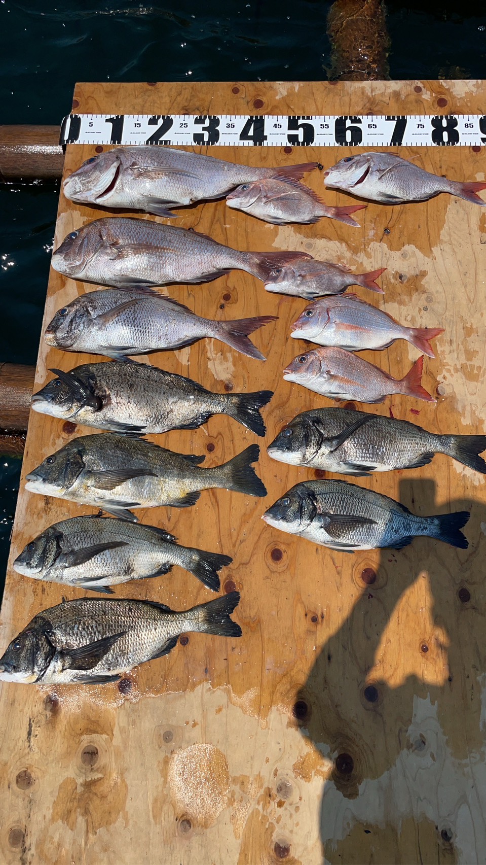 釣果報告！！