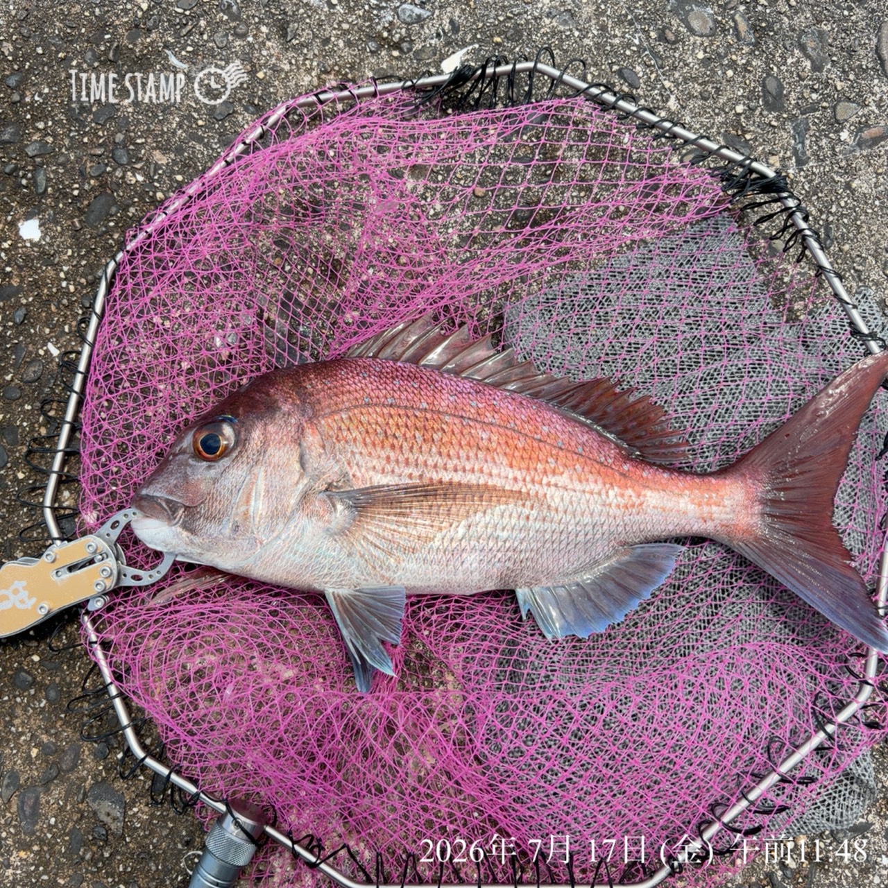 釣果報告！！