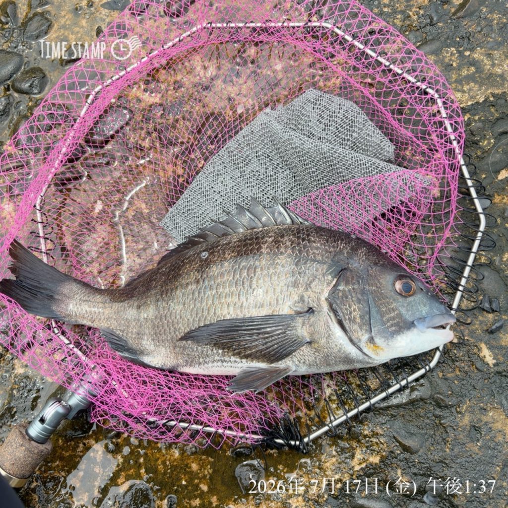 釣果報告!!
