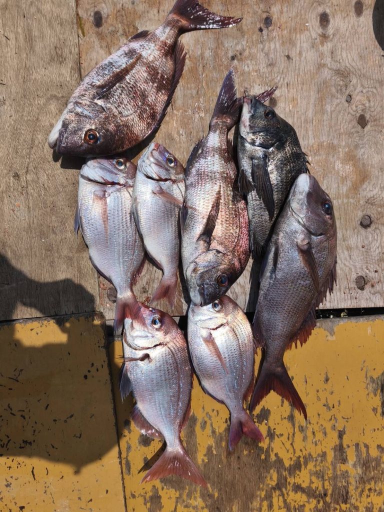 釣果報告！！