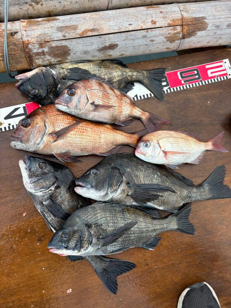 釣果報告!!