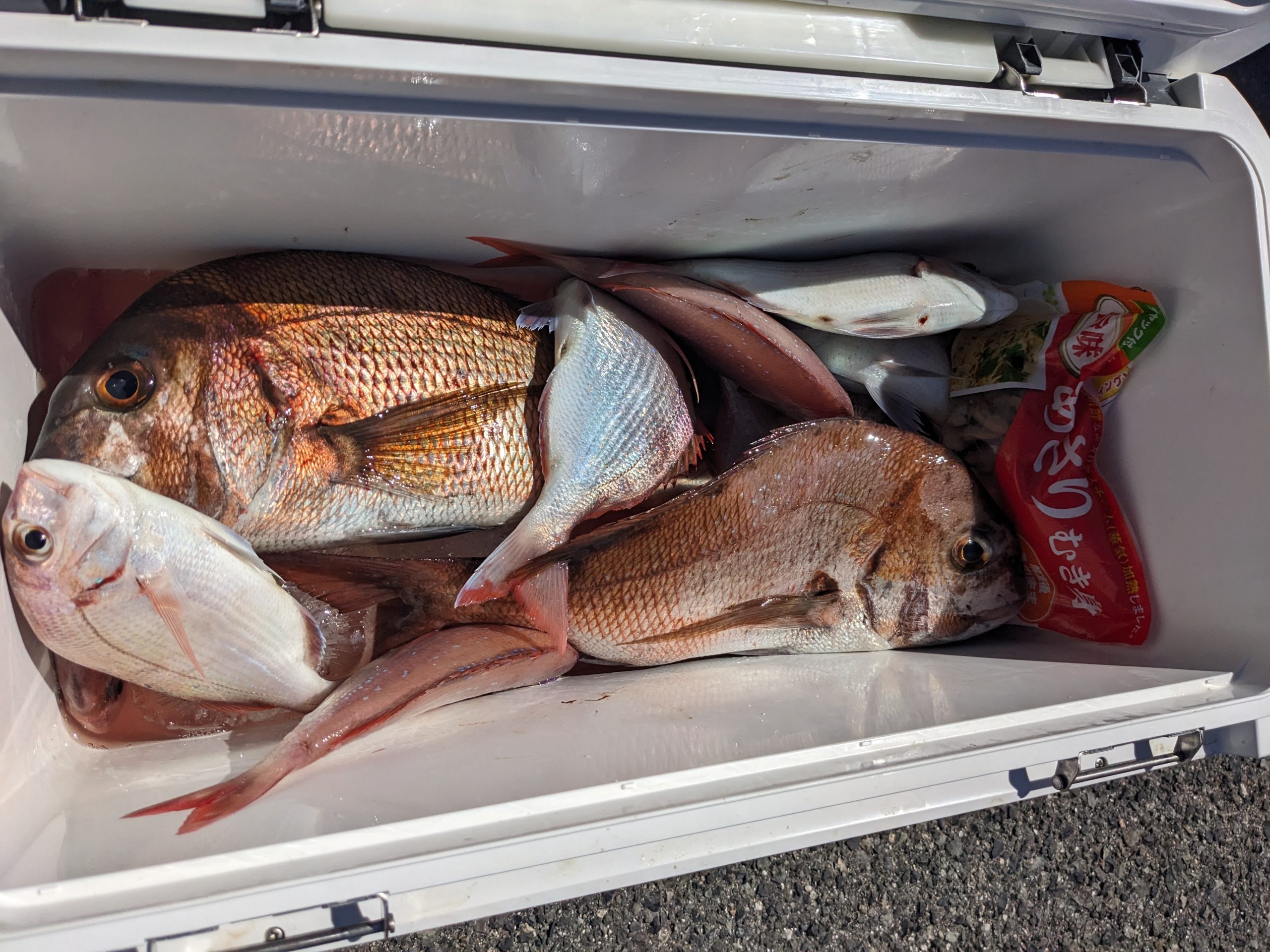 釣果報告！！