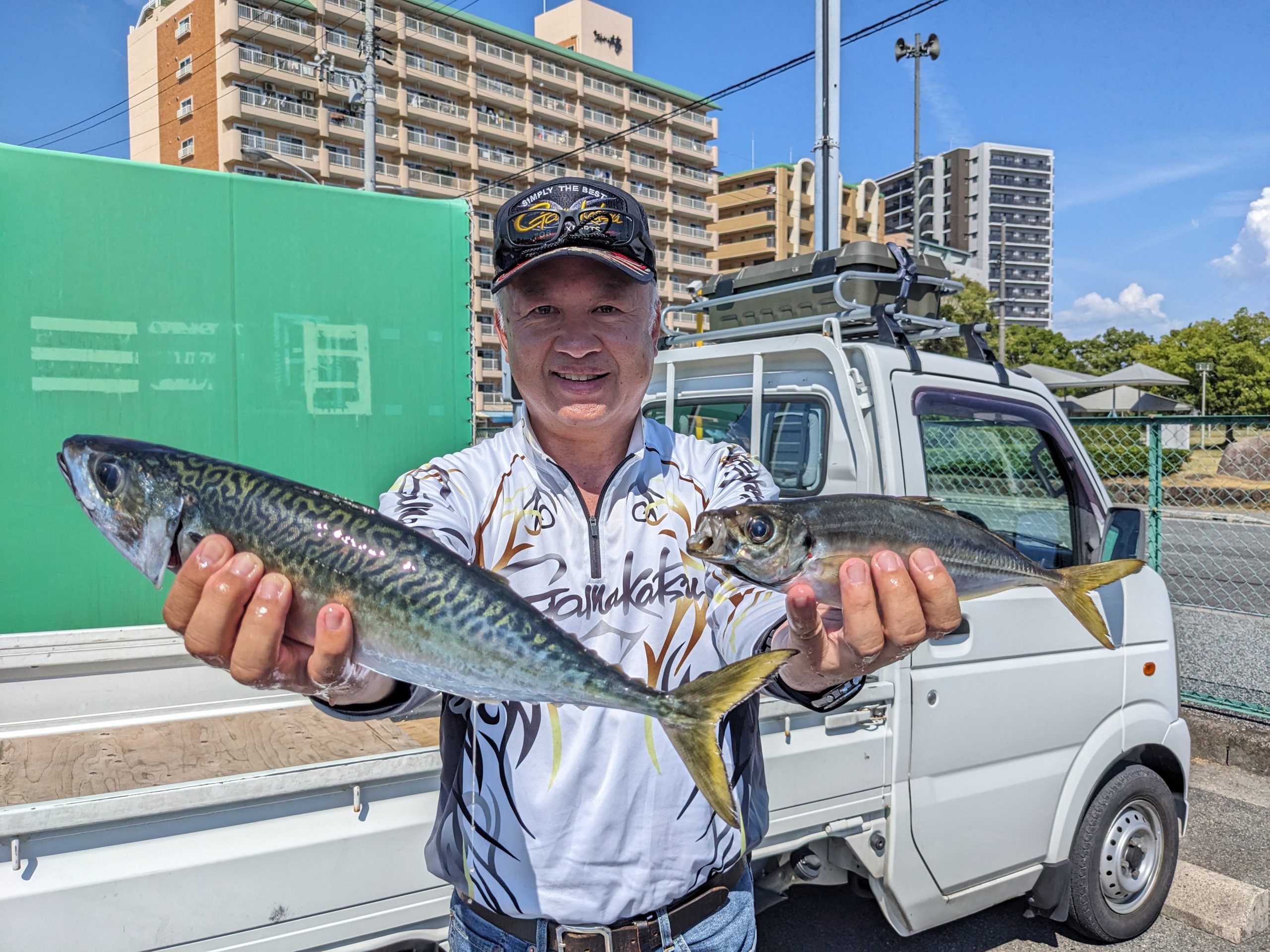 釣果報告！！大サバ、良型アジ！！